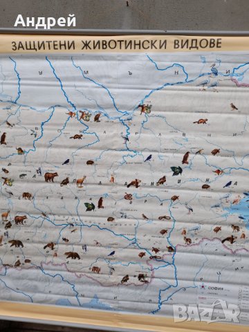 Стара учебна карта Защитени животински видове, снимка 3 - Други ценни предмети - 37982203