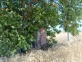 Земя град Съединение , снимка 12