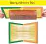 Нови Лепливи Капани за Насекоми 5 броя за Вътрешна и Външна Употреба, снимка 6