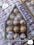 Коледна украса, коледни топки за елха 12броя., снимка 1