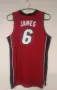 Оригинален Потник Miami Heat x LeBron James, снимка 2