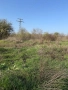 Промишлен парцел с.Тополи, снимка 8