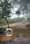 Парцел в село Горски извор, общ. Димитровград, снимка 1