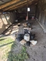 Продавам селски пилета , снимка 5