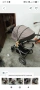 Комбинирана бебешка количка 3 в 1 Chipolino Up&Down, снимка 2