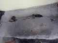 Хидравлична рейка  за Волксваген Шаран 1.9 tdi 116к.с 2002г, снимка 4