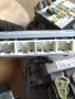 Компютър двигател 33920-86G12 за SUZUKI IGNIS 3392086G12 , снимка 3