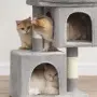 котешка катерушка, снимка 3