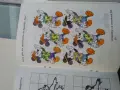 Стара книжка играй, рисувай, оцветявай, снимка 2