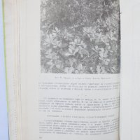 Книга Дъбовите гори в България - Илия Радков, Йордан Минков 1963 г., снимка 3 - Други - 34030398