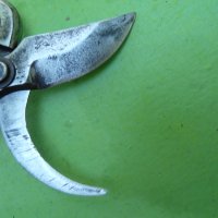  Стара немска лозарска ножица - 9 , снимка 3 - Градински инструменти - 33789989