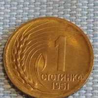 Монета 1 стотинка 1951г. България перфектно състояние за КОЛЕКЦИЯ ДЕКОРАЦИЯ 18116, снимка 2 - Нумизматика и бонистика - 44414399