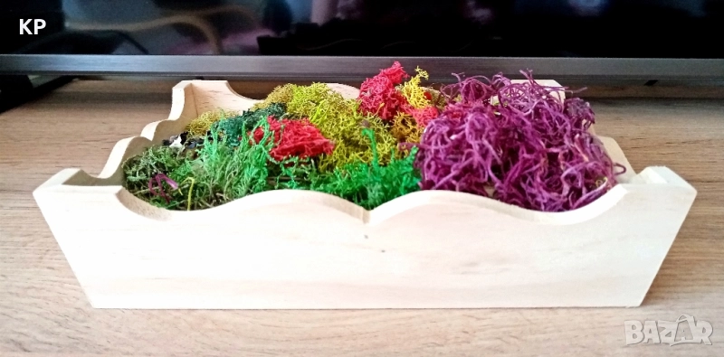 Скандинавски мъх + дървен поднос , снимка 1