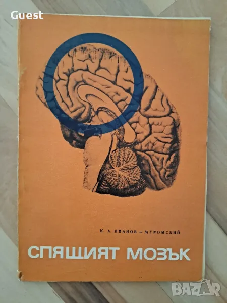 Спящият мозък , снимка 1