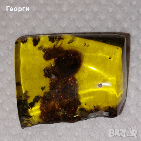 Мексикански кехлибар със запазен термит в него., снимка 7 - Други ценни предмети - 36572237