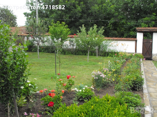 Продавам имот – две автономни къщи в един двор , община Ловеч, село Дойренци, снимка 4 - Къщи - 53218401