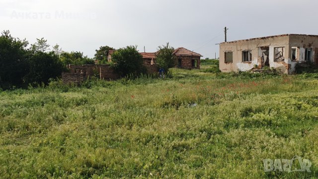Разрушена къща и обор в село Горна Митрополия, снимка 2 - Къщи - 29099821