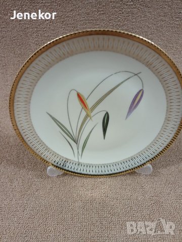 Чиния Winterling 