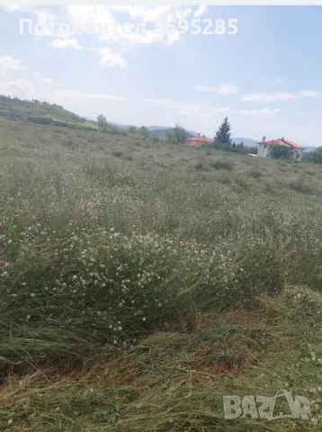 Продавам бали сено реколта 2026