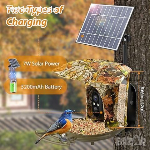 Нова хранилка за птици с Камера за наблюдение 1080P 64G Автоматично заснемане запис на видеоклипове , снимка 4 - За птици - 42901699