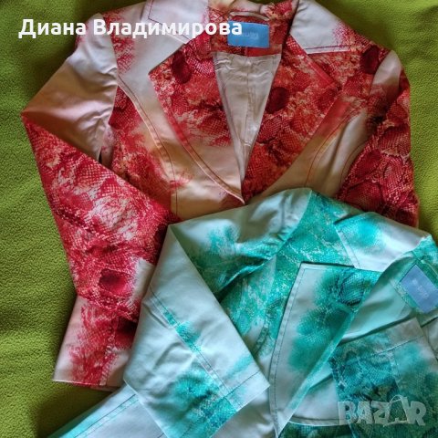 Bobo Zanber сака