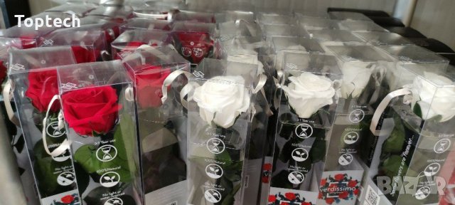 Луксозна вечна роза в опаковка BEAUTY & THE BEAST, снимка 5 - Романтични подаръци - 31691278