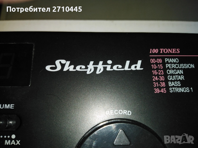 Детска йоника с 37 клавиша, снимка 3 - Музикални играчки - 51580892