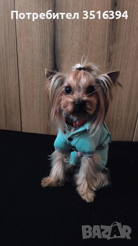 Дрехи за малки кучета, снимка 2 - За кучета - 52334693