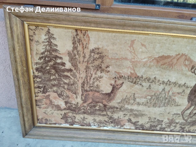 пано , снимка 4 - Пана - 51226103