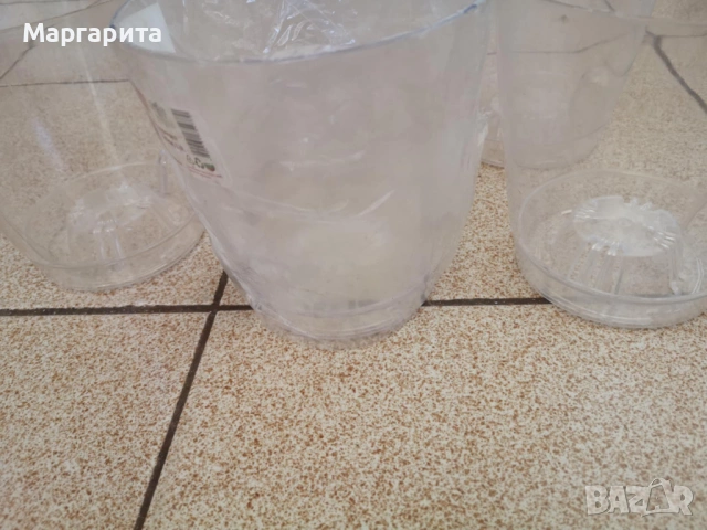 прозрачни саксии с подложки, снимка 7 - Стайни растения - 54265048