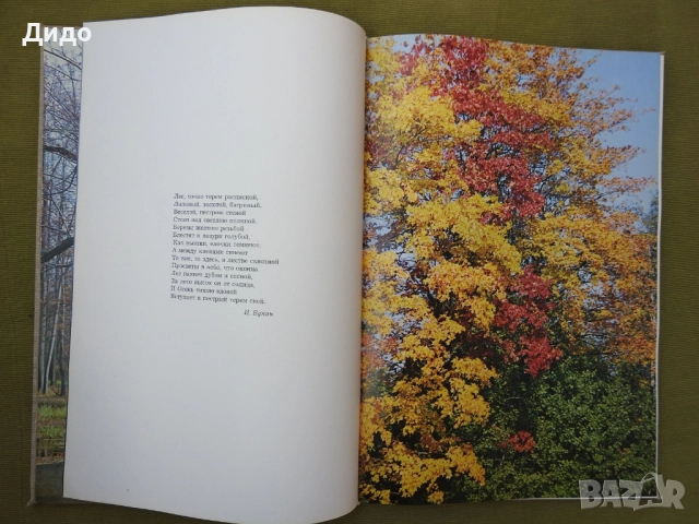 Времена Года, Годишните времена - Фото албум Поезия 1978 руски език, 40 см, снимка 9 - Специализирана литература - 52087712