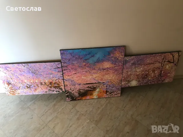 Картини от български автори