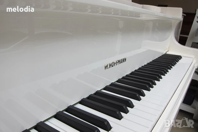 Нов роял W.HOFFMANN - T177 с дигитална свързаност C.Bechstein Connect, снимка 3 - Пиана - 50560845