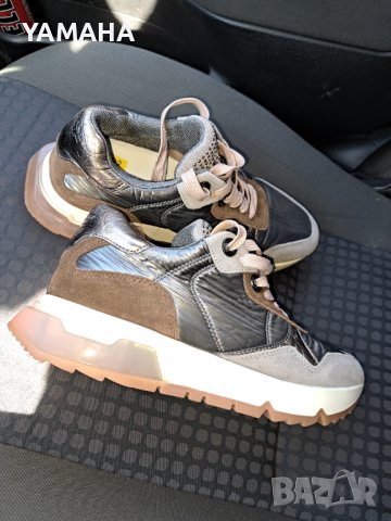 Toscablu  Дамски  Сникърси 39