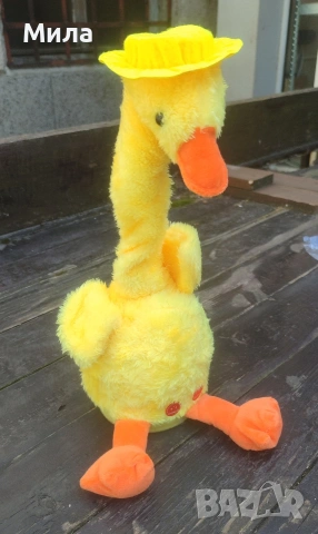 Пеещо и танцуващо пате