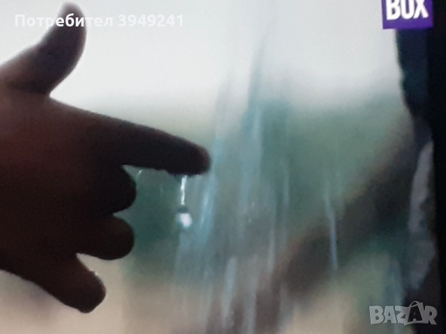 Топ ! Йорки(Чорки)