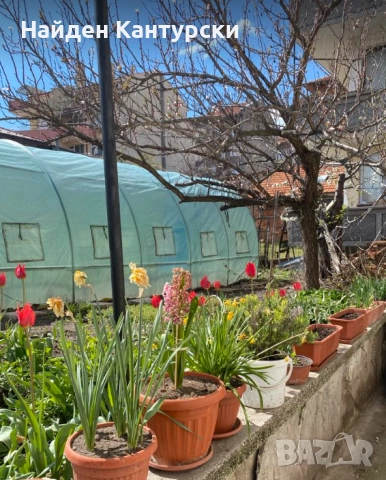 Продавам масивна триетажна къща в град Хасково, снимка 11 - Къщи - 42422521