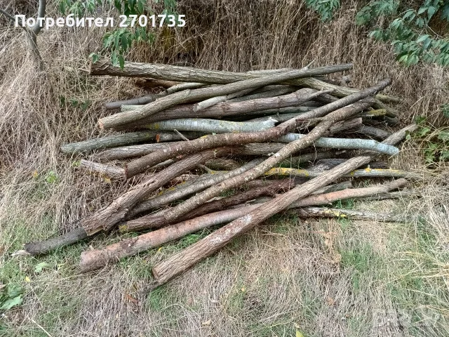 Дърва за огрев нарязани , снимка 3 - Дърва за огрев - 56247184