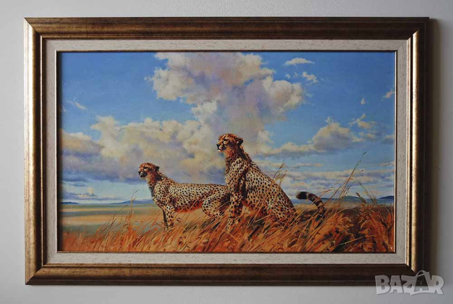 ”В очакване” - Африкански гепарди, картина 