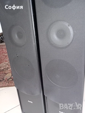 АЕG -300w трилентови качествени колони , снимка 2 - Тонколони - 52623631