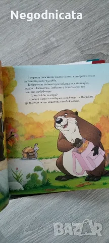 Книжка Франклин помага , снимка 2 - Детски книжки - 56049632
