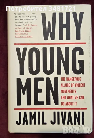 Why Young Men. The Dangerous Allure of Violent Movements and What We Can Do about It