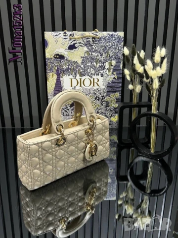 чанти christian dior 25/12см
, снимка 6 - Чанти - 50963329