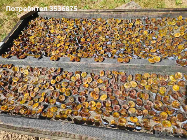 🍑☀️ НАТУРАЛНИ СУШЕНИ НА СЛЪНЦЕ СИНИ СЛИВИ ОТ ЕЛЕНСКИЯ БАЛКАН ☀️🍑, снимка 7 - Домашни продукти - 56139374