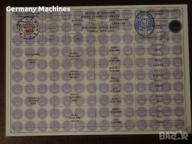 продавам РОДОСЛОВИЕ, Медали, Купи за различни породи кучета.. Вече не развъждам кучета и родословият, снимка 11 - Други - 48669126