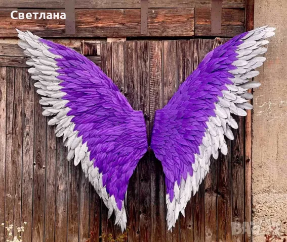 Двуцветни крила за декорация 