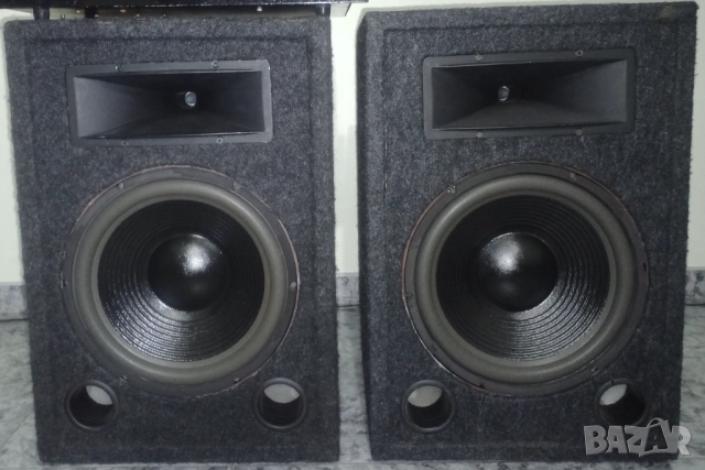 Тонколони 12 инча 250W с хорни Обертон