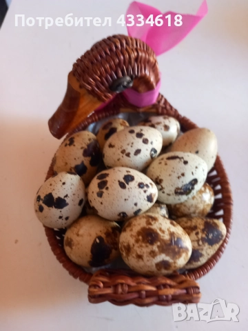 Яйца от пъдпъдъци 