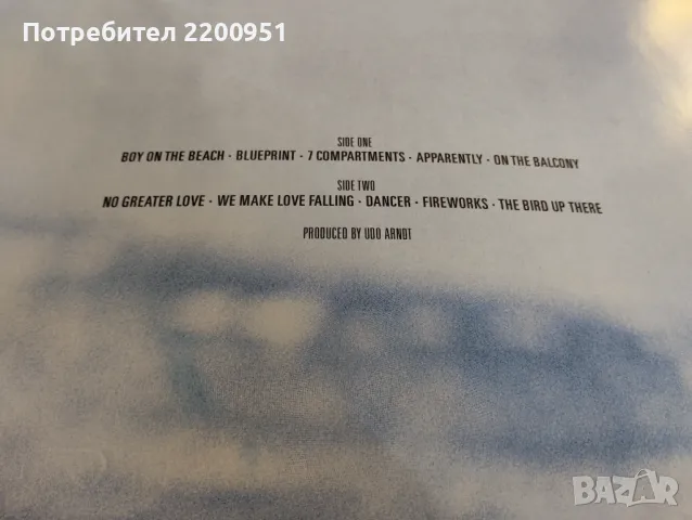 RAINBIRDS, снимка 3 - Грамофонни плочи - 49758973