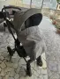 Бебешка количка 2в1 Roan Bloom, снимка 3